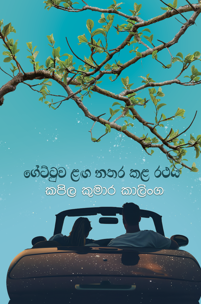 Picture of ගේට්ටුව ළඟ නතර කළ රථය